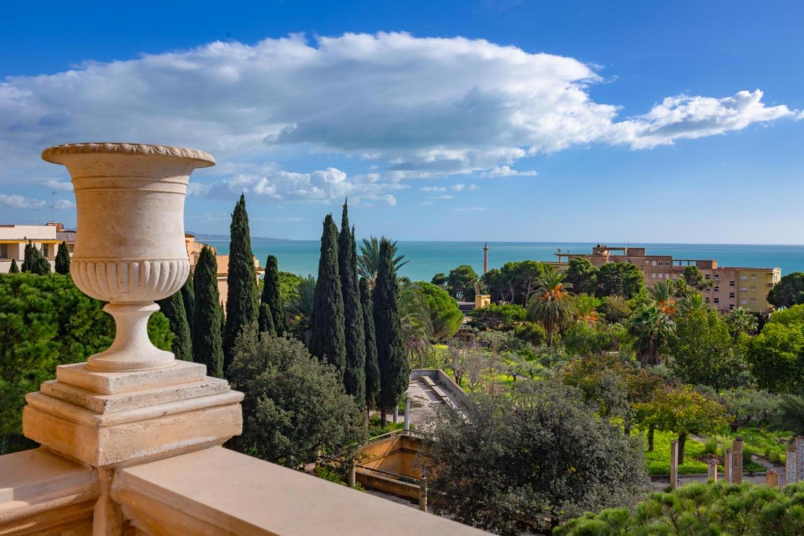 La Paloma Blanca Hotel シャッカ エクステリア 写真